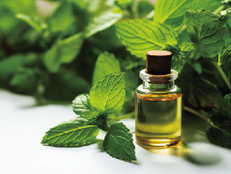 石脑油产品图片